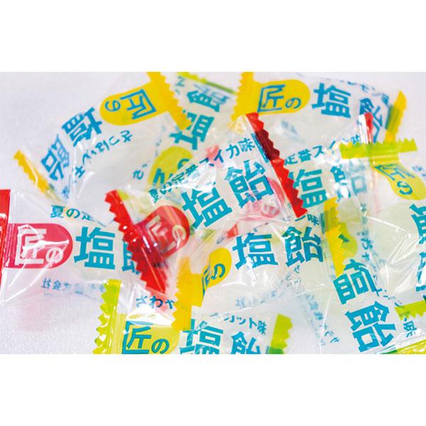 熱中症対策 水分補給 暑さ対策 塩分補給 匠の塩飴 MLSアソート マスカット レモン スイカ